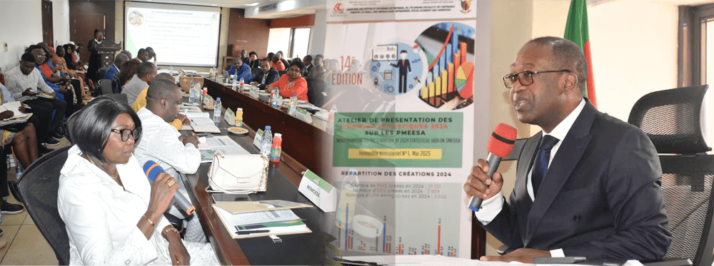 VOICI LES DONNÉES STATISTIQUES SUR LES PMEESA AU CAMEROUN
