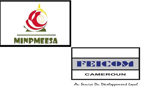 MINPMESSA-FEICOM FRAMEWORK CONVENTION