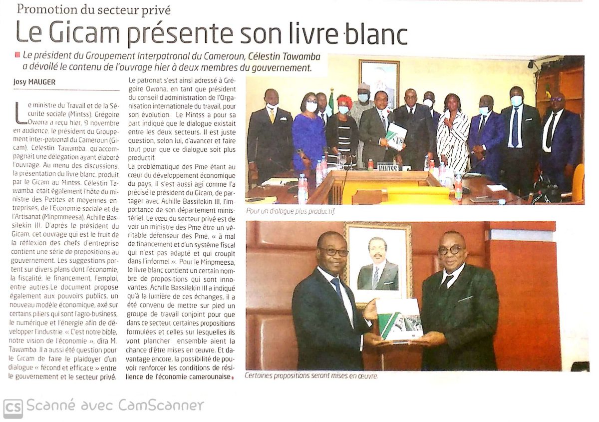 Le ministre des Pmes a reçu en audience une délégation du GICAM conduite par son Président Célestin TWANBA.