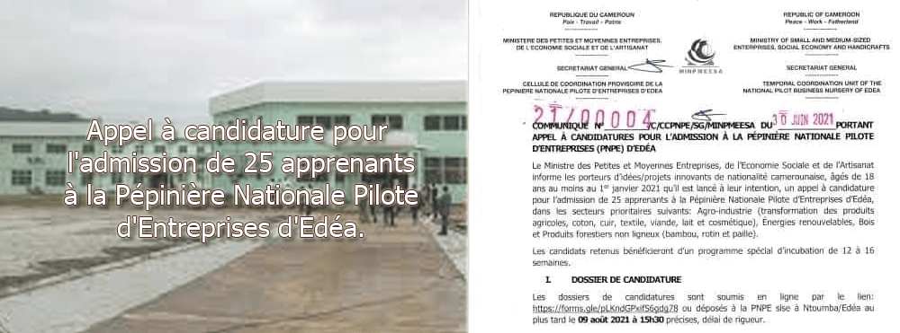 Appel à candidature pour l’admission de 25 apprenants à la Pépinière Nationale Pilote d’Entreprises d’Edéa session 2021