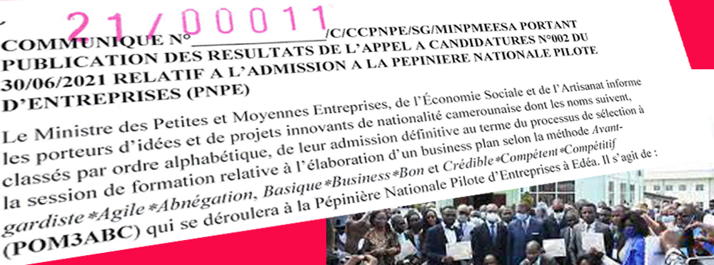 communique n°21/00011/c/ccpnpe/sg/minpmeesa portant publication des résultats de l’appel à candidatures N002 du 30-06-2021 relatif à l’admission à la PNPE