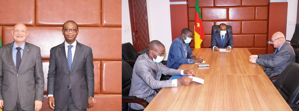 Cameroon-Egypt Cooperation: MINPMEESA bids farewell to outgoing Egyptian ambassador