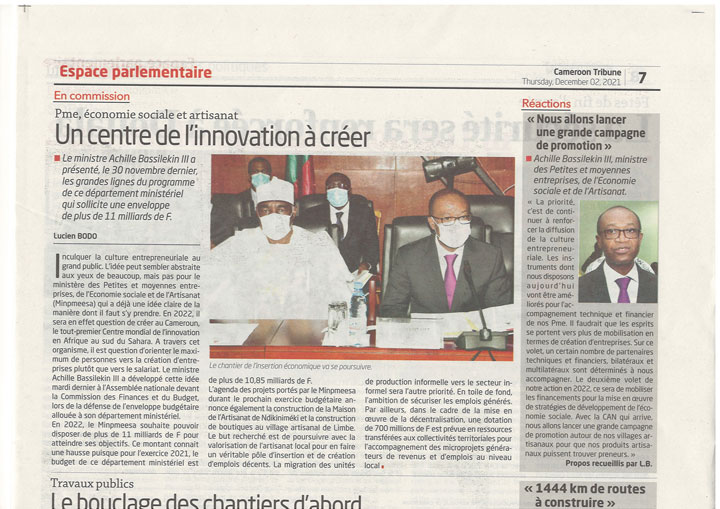Presentation des grandes lignes du programme du MINPMEESA par le Ministre Achille BASSILEKIN III devant le parlement