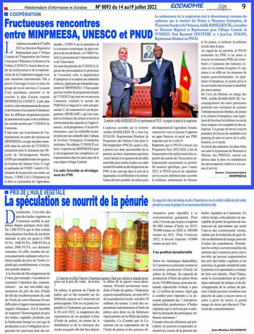 LE MINPMEESA EN AUDIENCE AVEC LE DIRECTEUR REGIONAL DE L’UNESCO ET LE REPRESENTANT RESIDENT DU PNUD