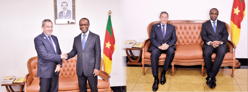 OPERATIONS CONVERGENTES ENTRE LA FRANCE ET LE CAMEROUN EN FAVEUR DES PMEESA