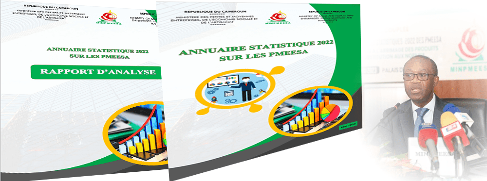 PME, Economie sociale et Artisanat : Bilan satisfaisant en 2022