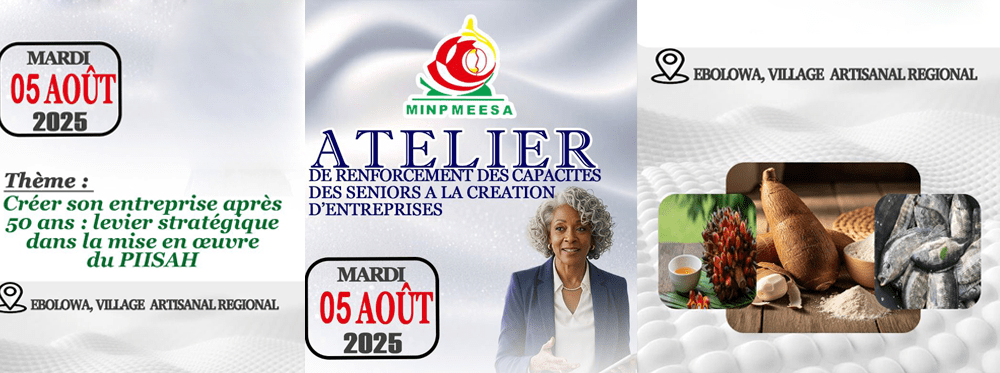 Renforcement des capacités des Seniors à la création d’entreprises.