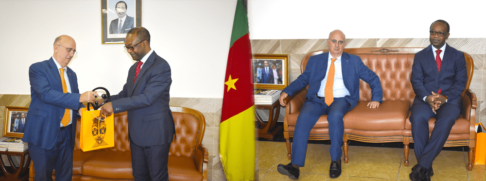 Farewell Audience between the Minister of SMEs, Social Economy and Handicrafts and the Ambassador of Italy to Cameroon