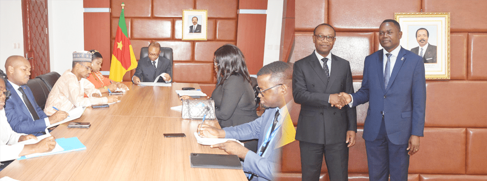 MINPMEESA and UNDP Join Forces to Empower Women and Promote Gender Equality.