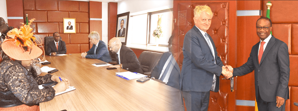 CAMEROON–EUROPEAN UNION COOPERATION: A NEW DYNAMIC FOR SMEs, SOCIAL ECONOMY AND CRAFTS.