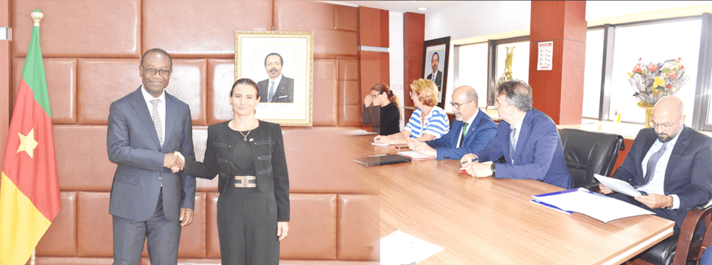 CAMEROON–EUROPEAN UNION COOPERATION: A NEW IMPETUS FOR SMEs, THE SOCIAL ECONOMY AND HANDICRAFTS.